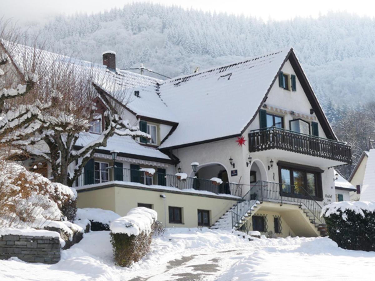 Landgasthof Gruener Baum Баденвайлер Екстер'єр фото